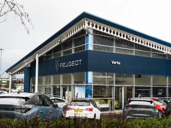 Peugeot Paisley