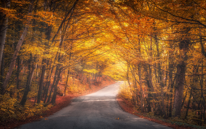 Hereford Audi's Guide To Autumn Driving